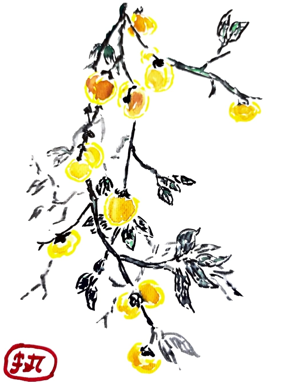 Sumi-e ink and watercolor sketch of a loquat branch with fruit