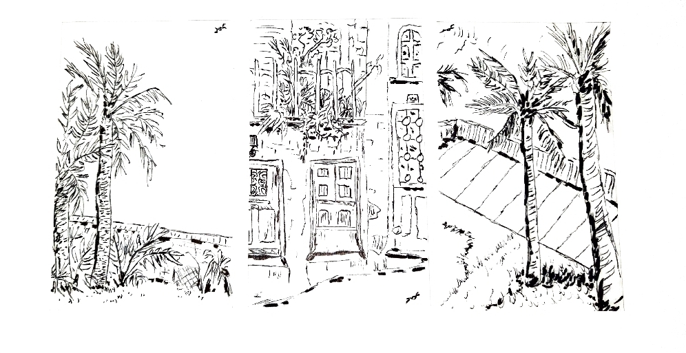 Ink sketch of palm trees and courtyard